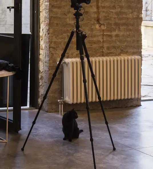 Inside a modern photography studio with a black cat and a tripod.